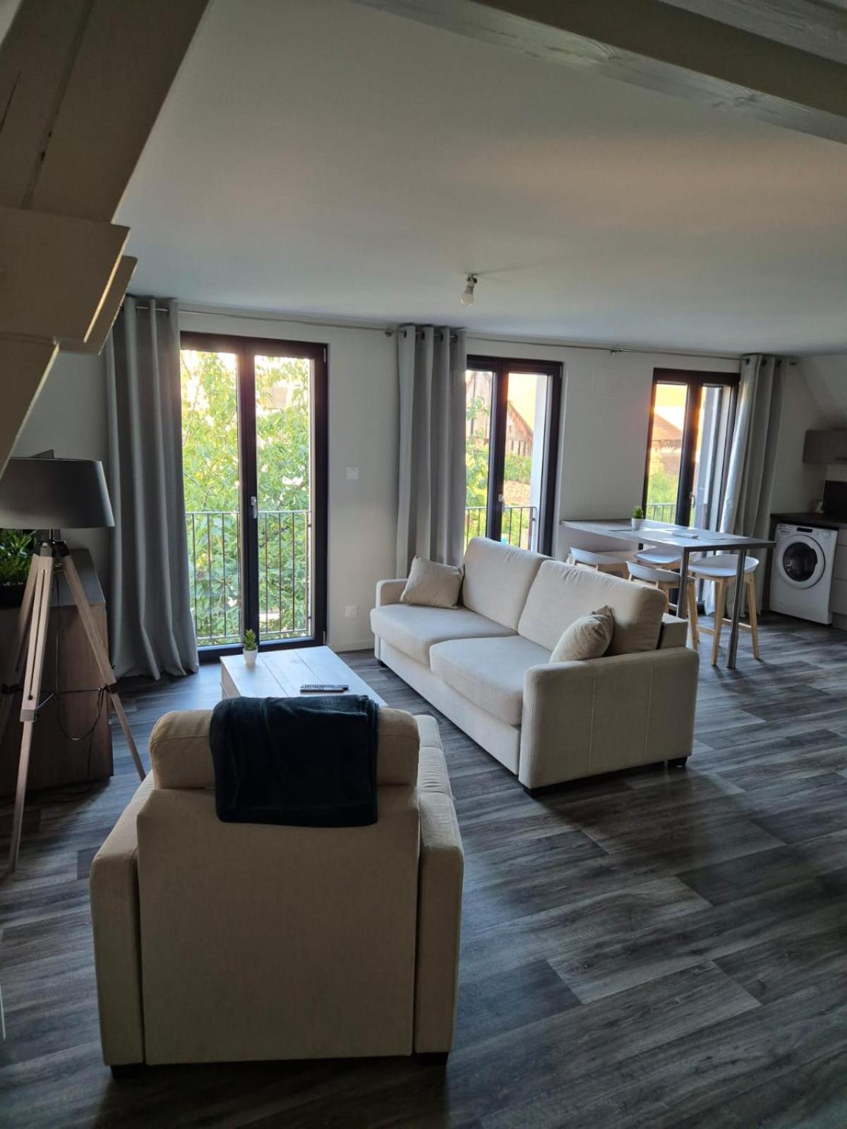 Appartement 2 Pieces Tout Confort, Aux Portes De Colmar Andolsheim Экстерьер фото